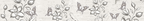 GLASSNA 575